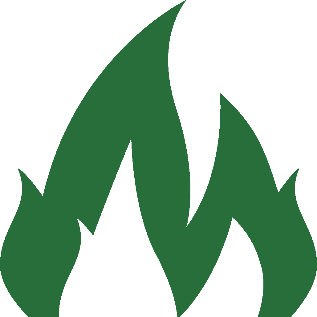 orbit health and safety fire risk assessment